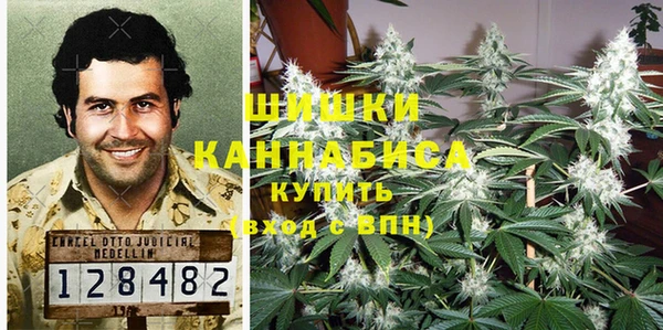 ПСИЛОЦИБИНОВЫЕ ГРИБЫ Абдулино