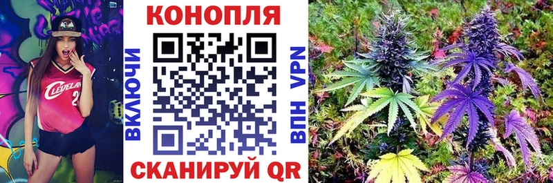 магазин    Лесозаводск  МАРИХУАНА сатива 